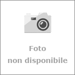 Consegna Fiori Genova - Cacciola Fiori