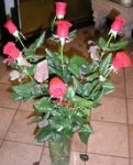 Rose rosse